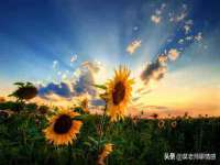 山西诩驰商贸有限公司
