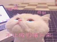 山西诩驰商贸有限公司