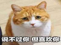 山西诩驰商贸有限公司