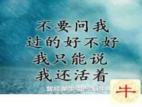 山西诩驰商贸有限公司