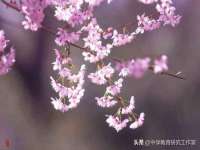 山西诩驰商贸有限公司