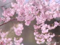 山西诩驰商贸有限公司