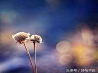 山西诩驰商贸有限公司