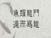 山西诩驰商贸有限公司