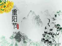 山西诩驰商贸有限公司
