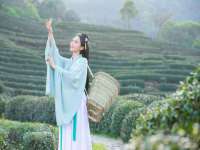 山西诩驰商贸有限公司