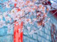 山西诩驰商贸有限公司