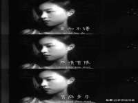 山西诩驰商贸有限公司