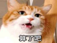山西诩驰商贸有限公司
