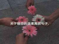 山西诩驰商贸有限公司
