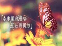 山西诩驰商贸有限公司