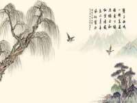 山西诩驰商贸有限公司