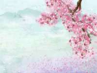 山西诩驰商贸有限公司