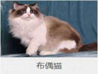山西诩驰商贸有限公司