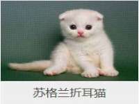 山西诩驰商贸有限公司