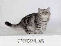 山西诩驰商贸有限公司
