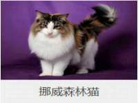 山西诩驰商贸有限公司