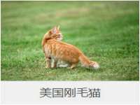 山西诩驰商贸有限公司