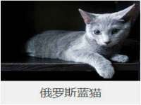山西诩驰商贸有限公司