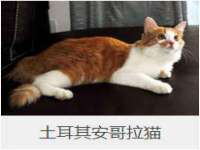 山西诩驰商贸有限公司