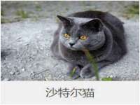 山西诩驰商贸有限公司