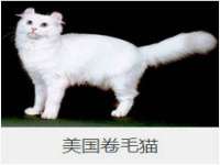 山西诩驰商贸有限公司