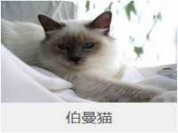 山西诩驰商贸有限公司