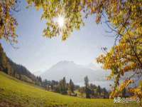 山西诩驰商贸有限公司