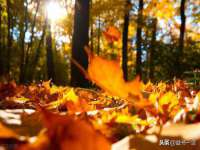 山西诩驰商贸有限公司