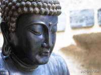 山西诩驰商贸有限公司