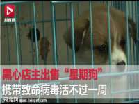 山西诩驰商贸有限公司