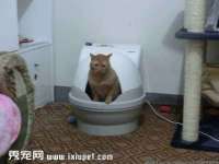 山西诩驰商贸有限公司