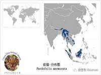 山西诩驰商贸有限公司