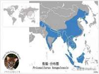 山西诩驰商贸有限公司