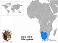 山西诩驰商贸有限公司