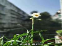 山西诩驰商贸有限公司
