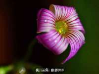 山西诩驰商贸有限公司