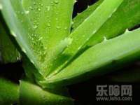 山西诩驰商贸有限公司