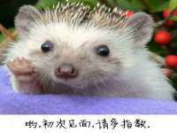 山西诩驰商贸有限公司