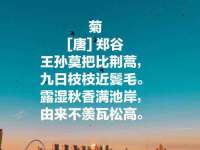 山西诩驰商贸有限公司