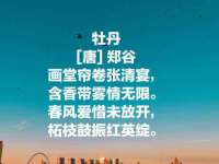 山西诩驰商贸有限公司