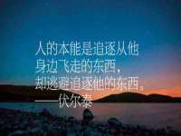 山西诩驰商贸有限公司