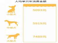 山西诩驰商贸有限公司