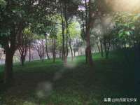山西诩驰商贸有限公司