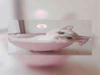 山西诩驰商贸有限公司