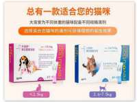 山西诩驰商贸有限公司
