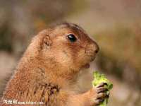 山西诩驰商贸有限公司
