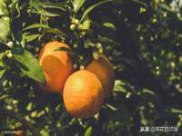 山西诩驰商贸有限公司