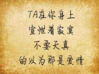 山西诩驰商贸有限公司