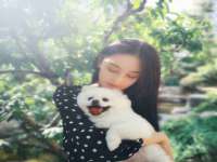 山西诩驰商贸有限公司